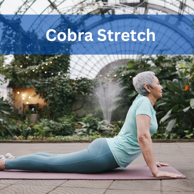 Cobra Stretch - kobra posen