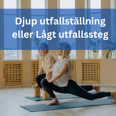 Djup utfallställning eller Lågt utfallssteg