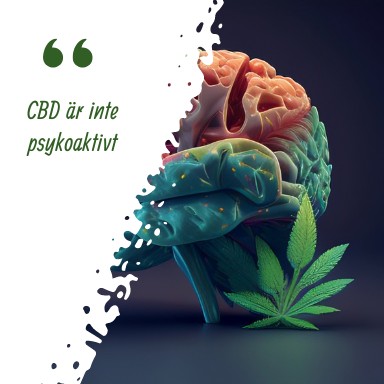 CBD inte psykoaktivt