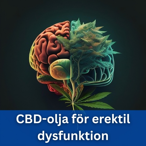 CBD-olja för erektil dysfunktion: fungerar det?