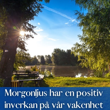 Morgonljus har en positiv inverkan på vår vakenhet