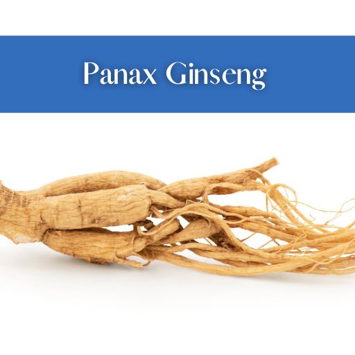 Hjälper Panax Ginseng