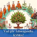 Vad gör Ashwagandha KSM66?