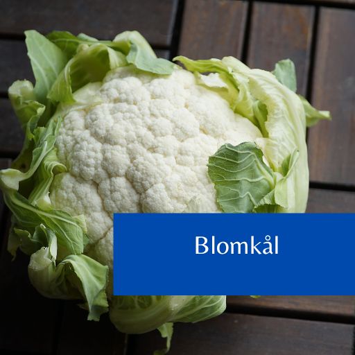 Blomkål