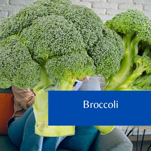 Broccoli