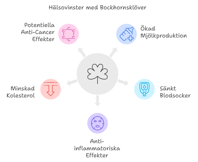 Fördelar Och Användningar Av Bockhornsklöver