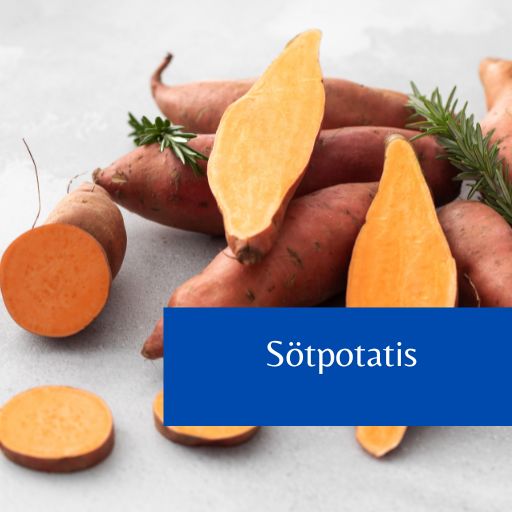 Sötpotatis