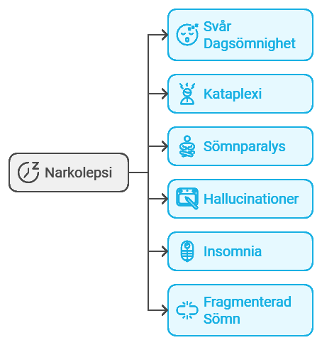 Symptom På Narkolepsi