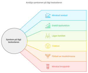 Symtom på Lågt Testosteron