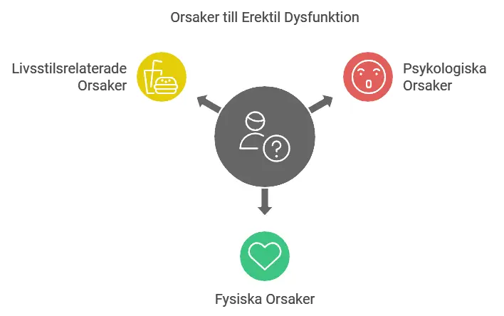 Varför Har Min Pojkvän Erektil Dysfunktion