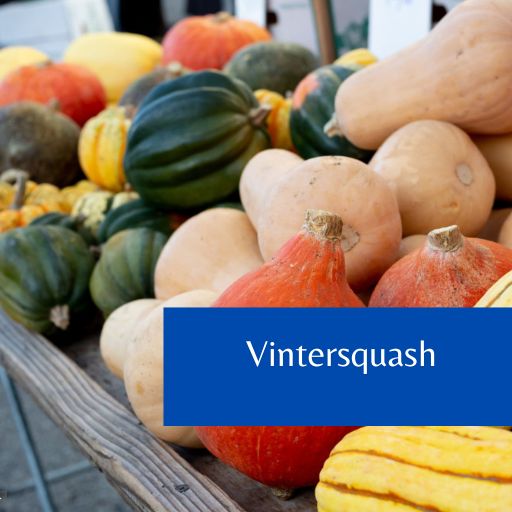 Vintersquash