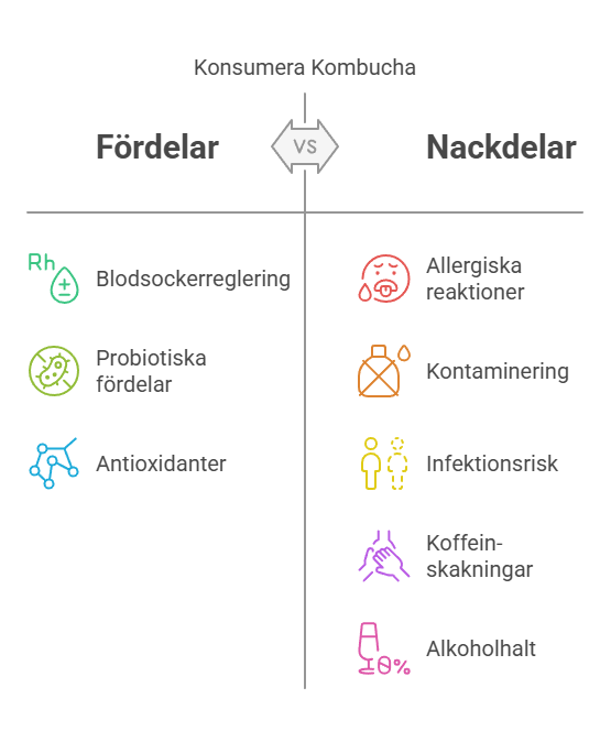 Har Kombucha Biverkningar?